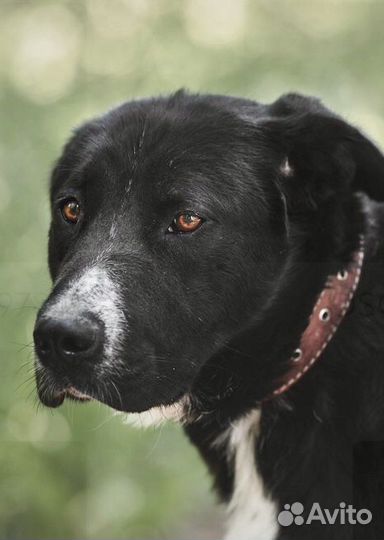 Плюшевая девочка в добрые руки