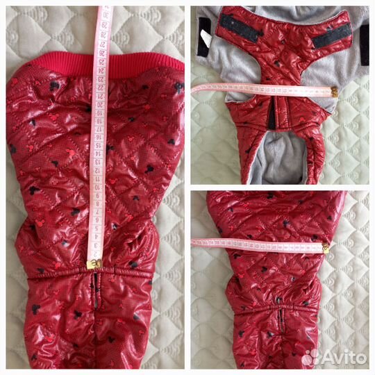 Одежда для собак мелких пород