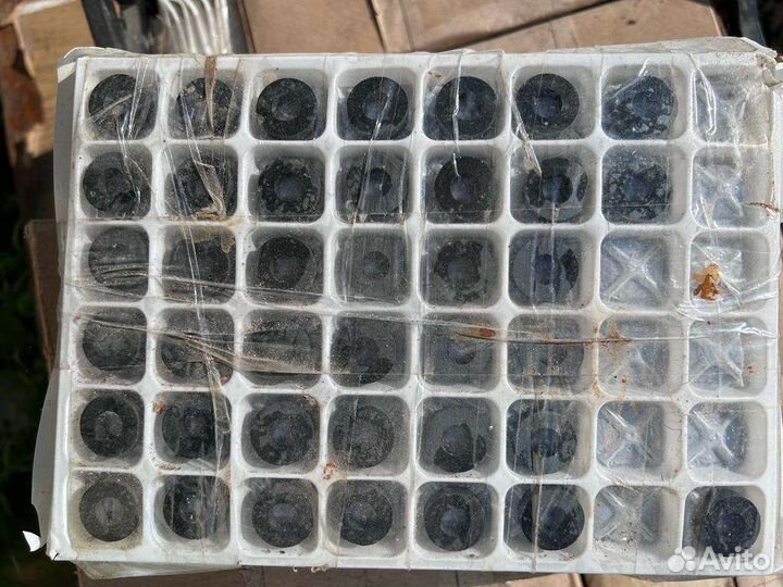 Феритовые кольца и конденсаторы (без драгметалов)