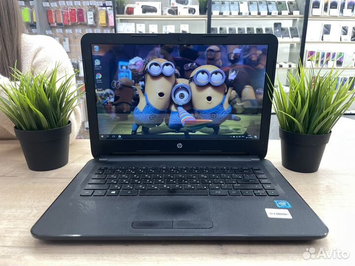 Ноутбук HP для учебы и офиса