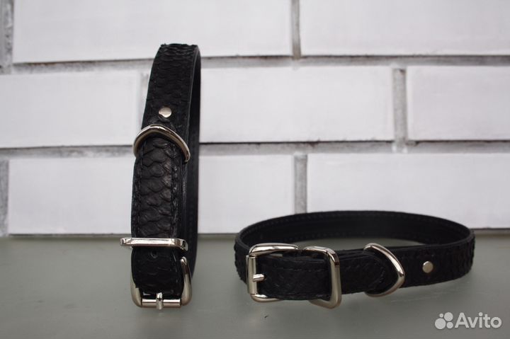 Ошейник из кожи питона для собак средних пород