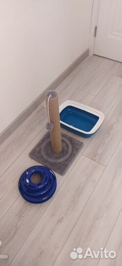 Лоток для кошек, игрушка