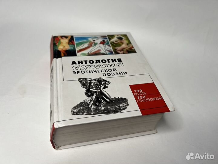 Русская и зарубежная поэзия, Заболоцкий, Высоцкий