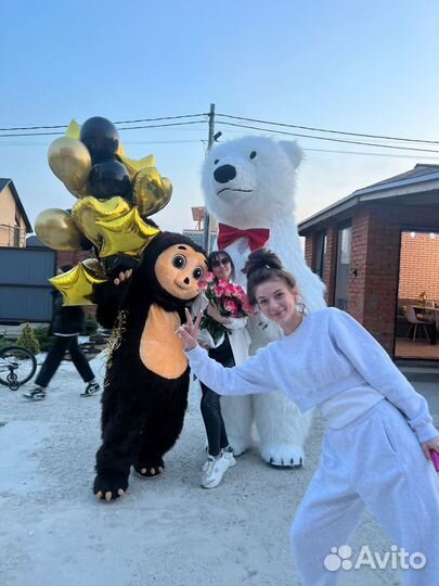 Белый мишка поздравление, медведь Тедди, шары