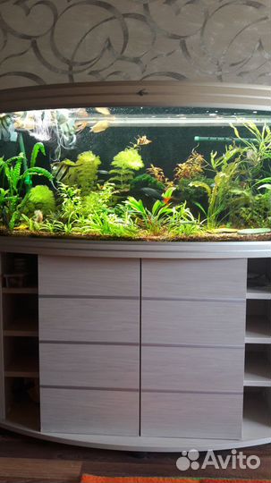 Аквариум