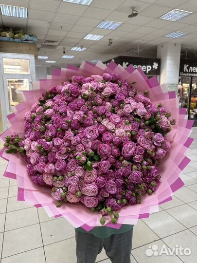 Роза пионовидные розы 11 21 51 101 доставка