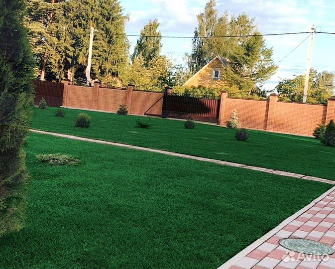 Рулонный газон