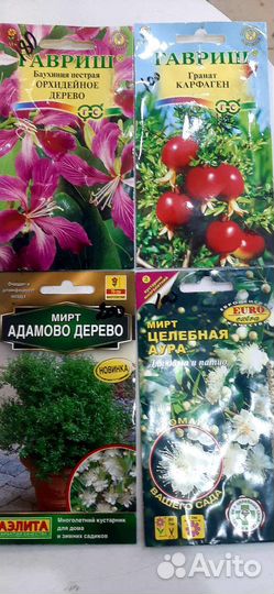 Семена комнатных цветов