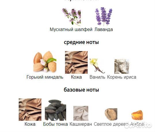 Tom Ford Fucking Fabulous