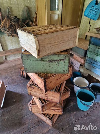 Продается пасека