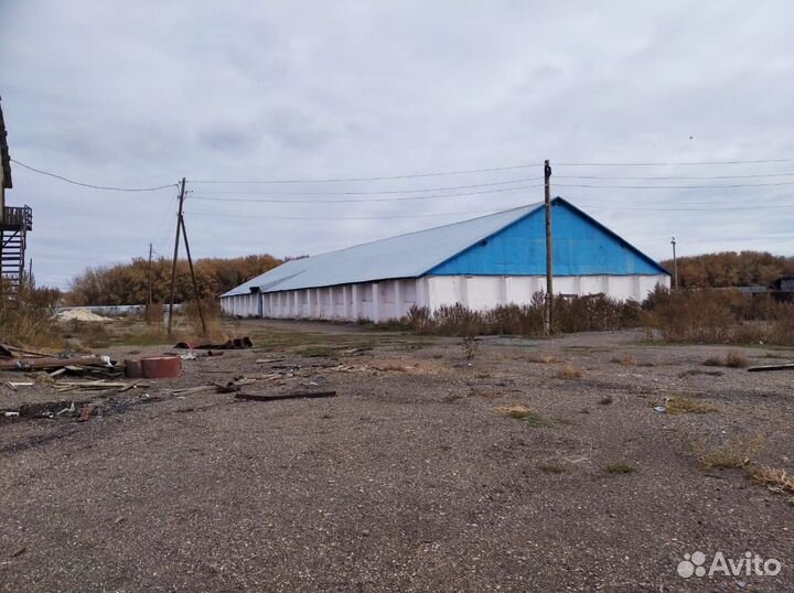 Сдается в аренду животноводческий комплекс