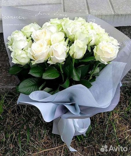 Высокие розы Гигантские розы 110