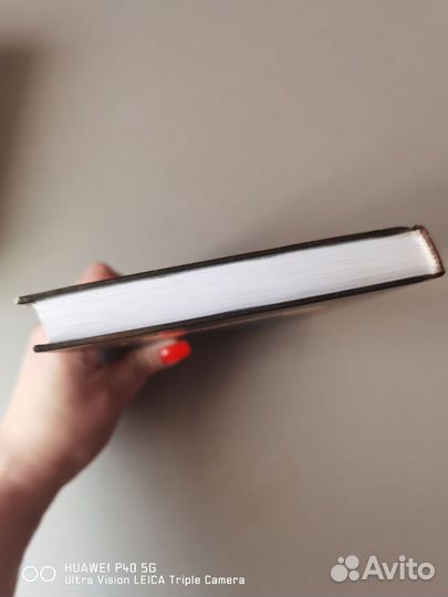 Коты воители голоса в ночи