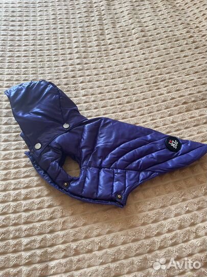 Комбинезон для собаки девочки