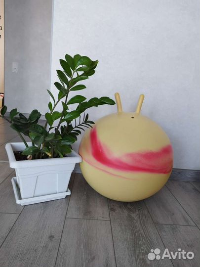 Мяч Большой надувной