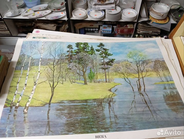 Плакаты по природоведению,развитию речи