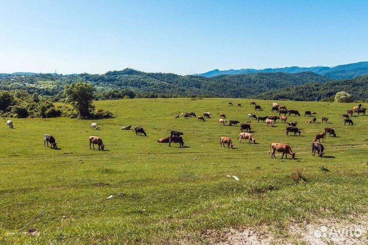 Самый драйвовый джип тур в Сочи