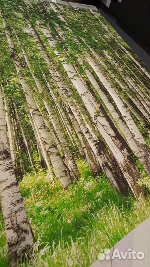 Фотообои #Роща