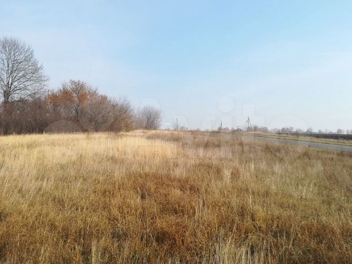 Участок 45 сот. (ИЖС)