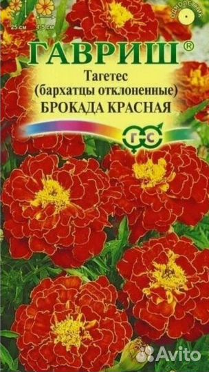 Рассада бархатцы низкорослые