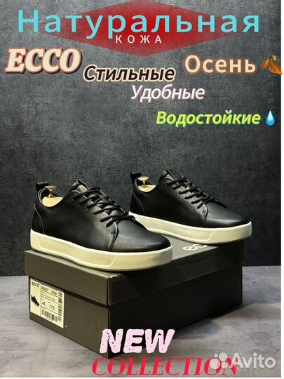 Кеды мужские Eoco