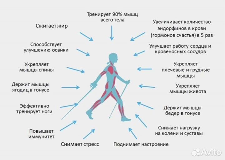 Новые палки для скандинавской ходьбы