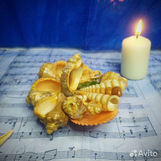 Композиция из ракушек.Сувенир. Украшение для дома