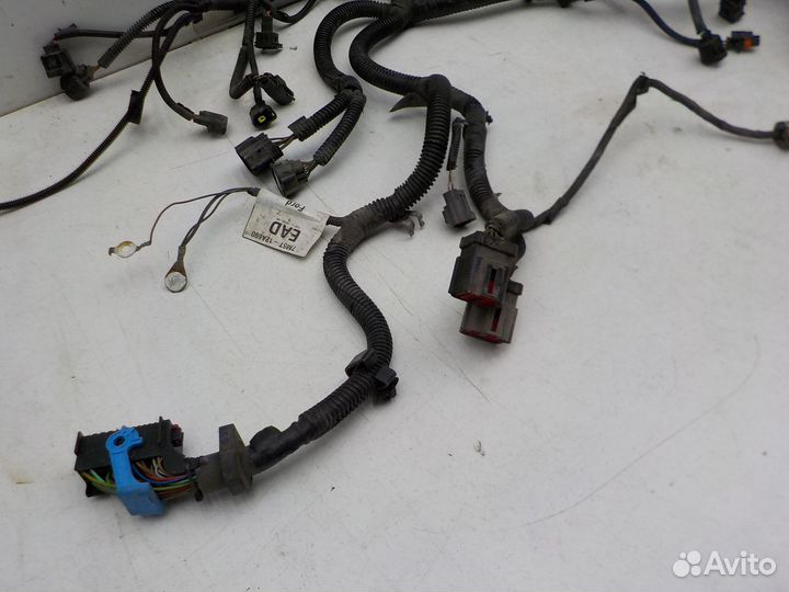 Проводка моторного отсека Ford Focus II 2008-2011