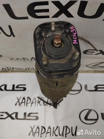 Амортизатор задний правый Lexus Rx4 Rx200T Rx300