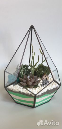 Флорариум. Подарок на день рождения