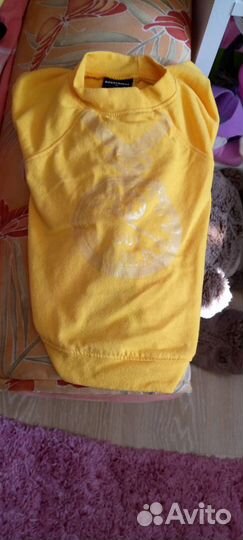 Одежда для собак мелких пород