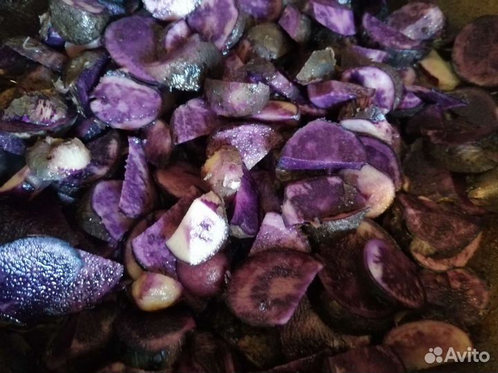 Картофель семенной, цветной (синий, розовый)