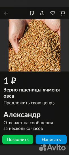 Зерно пшеница ячмень