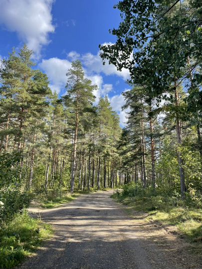 Участок 10,2 сот. (СНТ, ДНП)