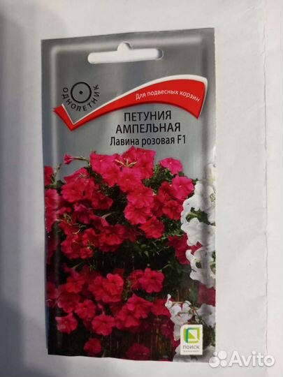 Рассада петунии