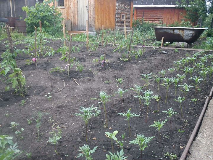 Дом 20 м² на участке 4 сот.