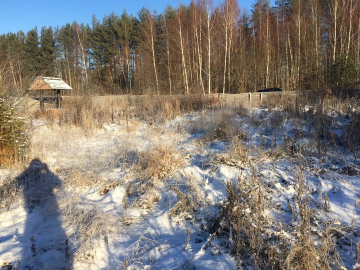 Участок 10 сот. (ИЖС)