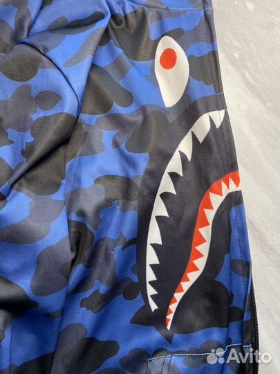 Зипка bape shark