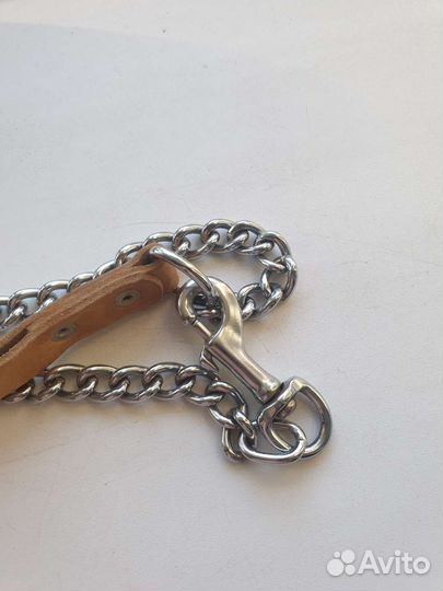 Поводок для собаки