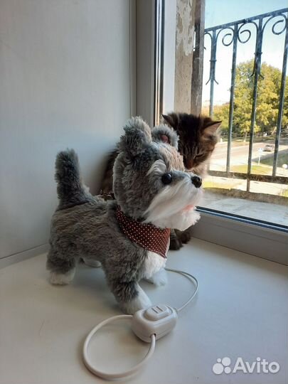 Интерактивная собака на поводке