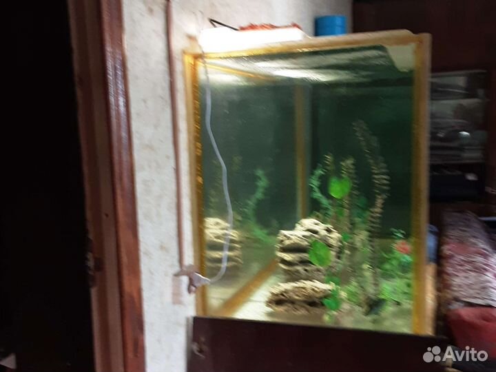 Аквариум