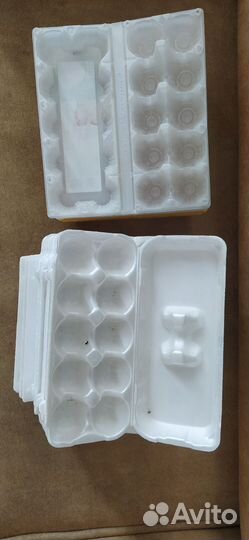 Ячейки для яиц