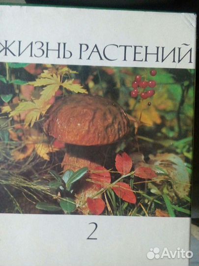 Книги. Сборник
