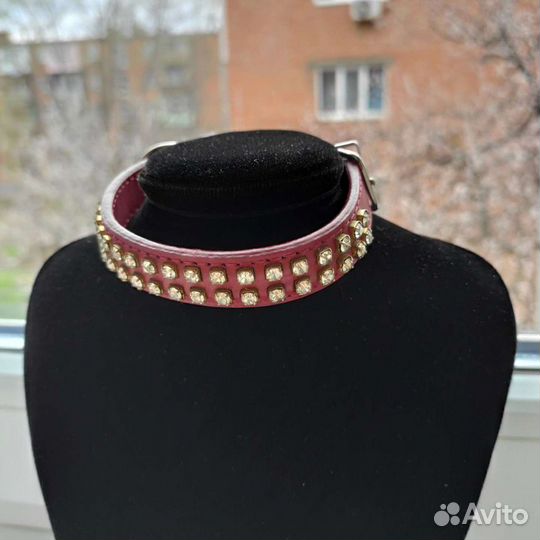 Ошейник для собак