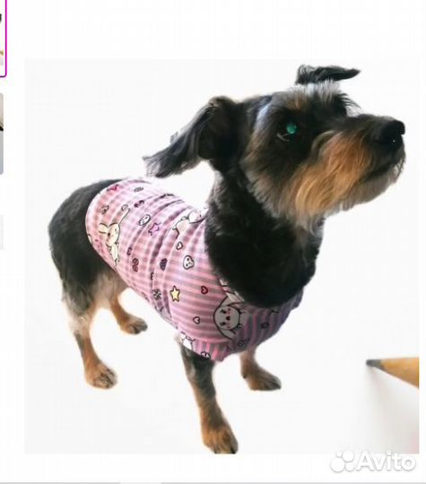 Одежда для кошек и собак