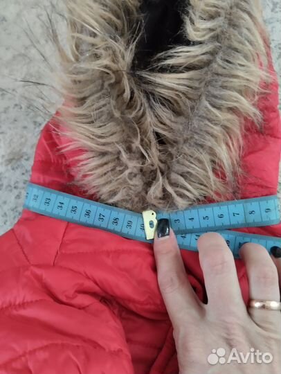 Одежда для собак xs