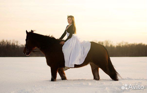 Конные походы в Чебоксарах