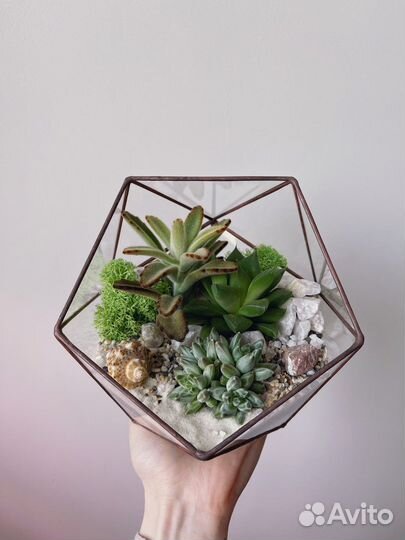 Флорариум с суккулентами