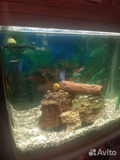Аквариум