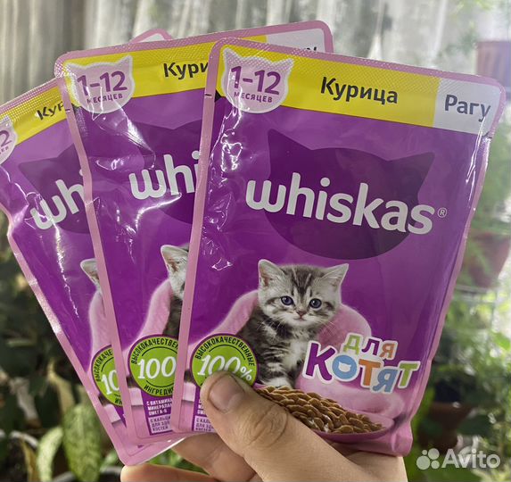 Корм для кошек